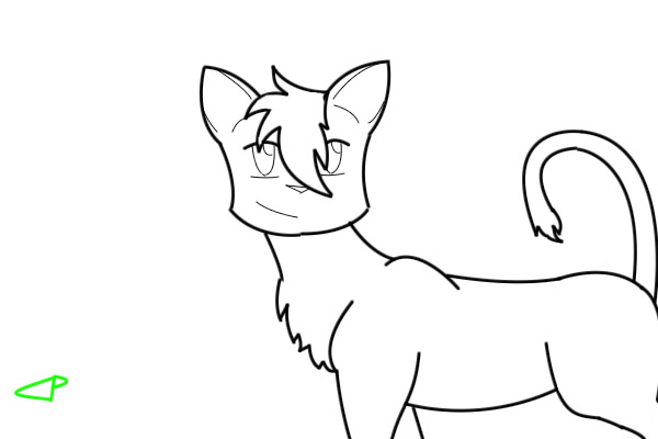 Cat :)