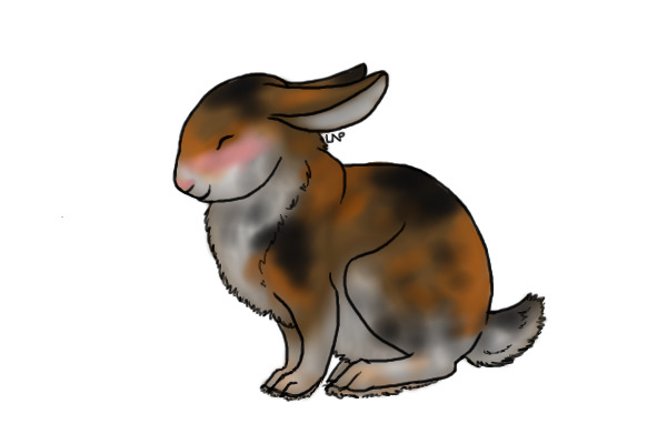 Softear - Adopted by ~•MidnightDreamer•~