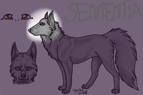 Sententias :: Wolves of Feeling . no posting .