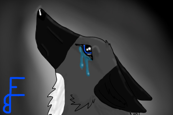 RainWhisker