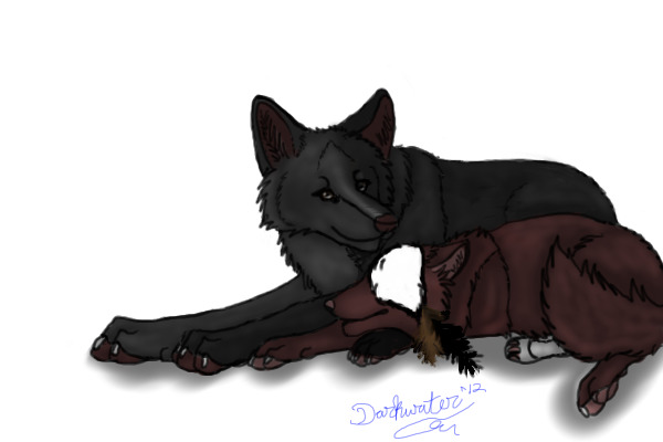 Shiro&Fall