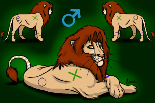 Comp Entry Lion