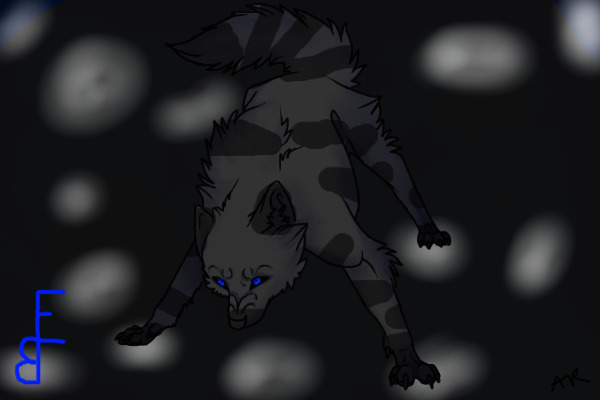 Rainwhisker as a wolf agian ^_^