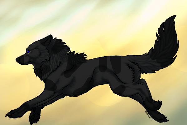 Rainwhisker as a wolf agian