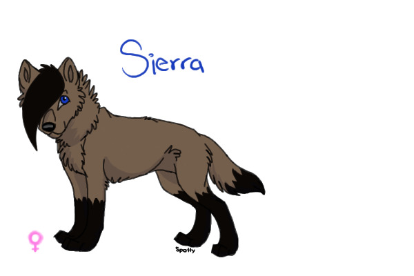 Wolf Pack Adopts -Sierra