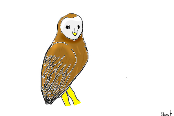 Ceilia the Barn Owl