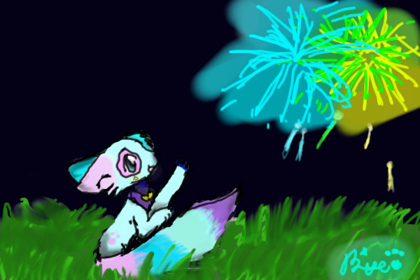 Fireworks!!!