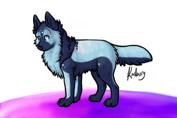 CE Galaxy Dog