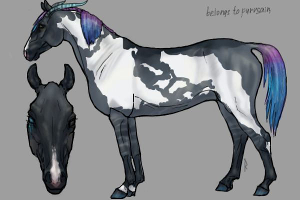 Custom HC_01