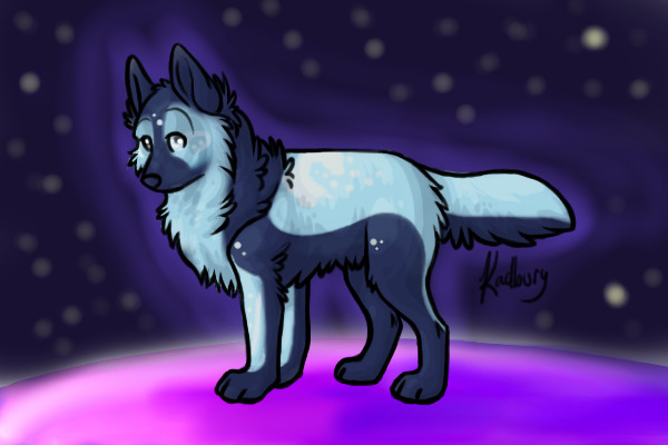 CE Galaxy Dog