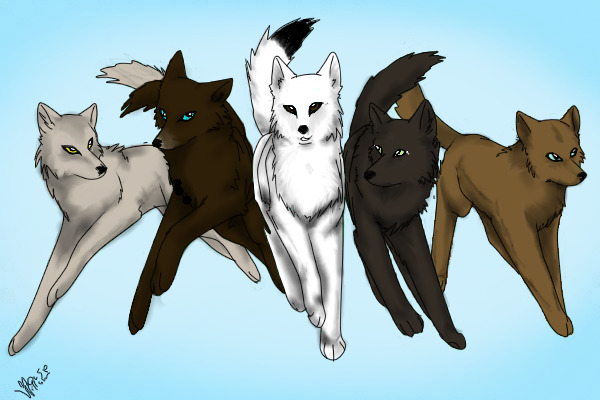 Wolfies!