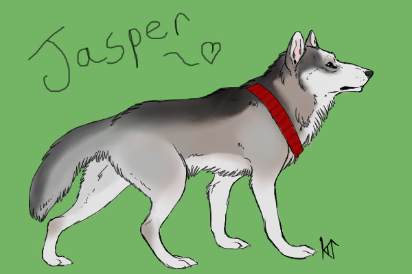 Jasper for matty1