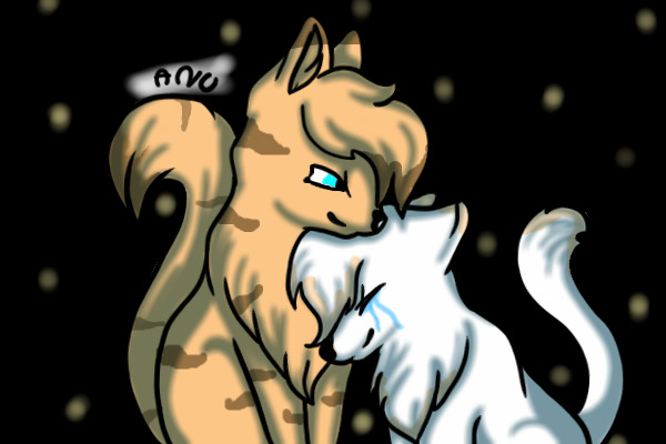 thornpaw and shimmerpaw