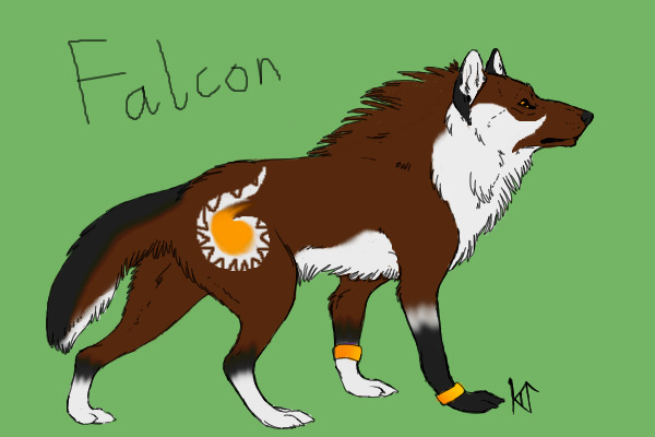 Falcon for makayla72