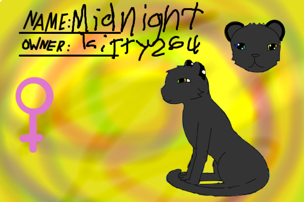 Midnight the lion