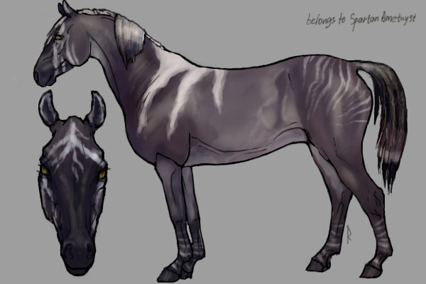 Custom HC_02
