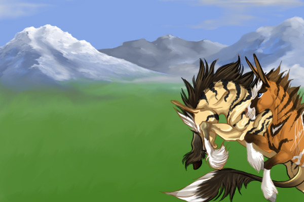 Wild Mountain Equids Collab