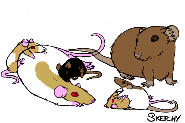waffles and some random brown rat!