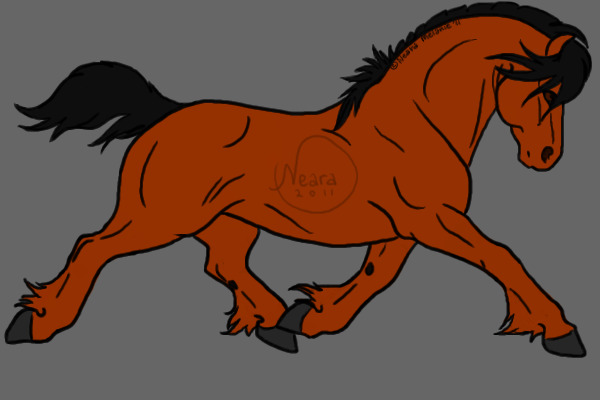 Irish Draft Horse