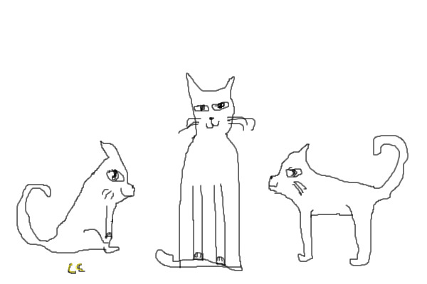 Cats!