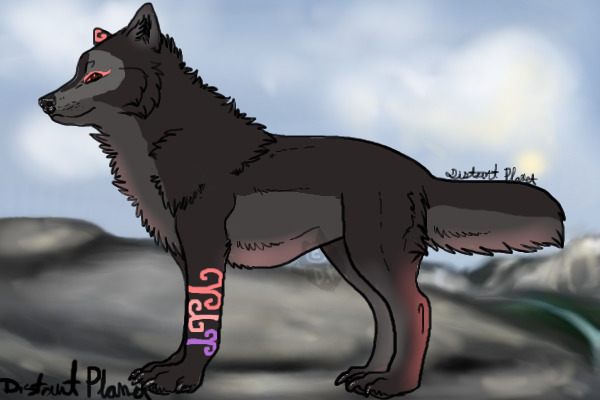 Wolf for Squiddy Lou♥