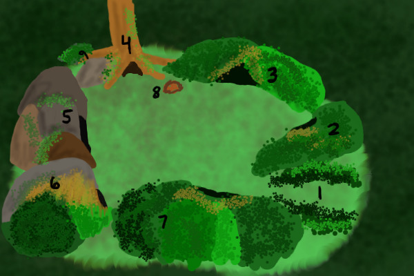 CoastClan Camp