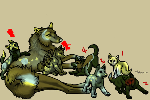 Adopt us!