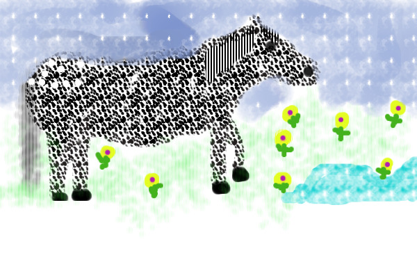 POA (Pony of the Americas)