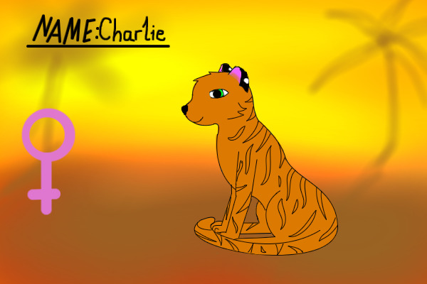 Charlie, my 'lil lion