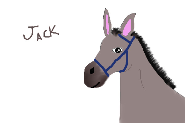 Jack the Mule