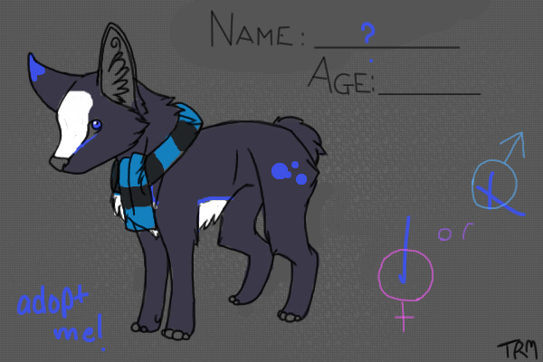 adopt me!
