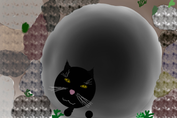 Emerging from the darkness