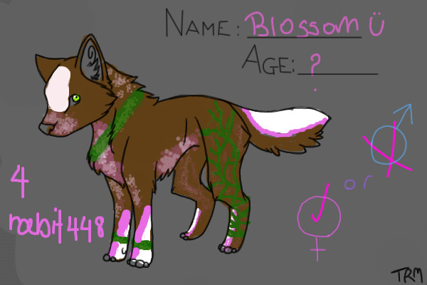 Blossom owned by rabit448