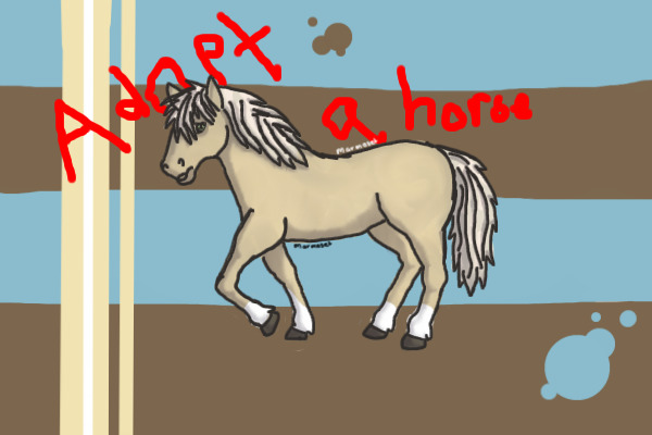 horses for adoption