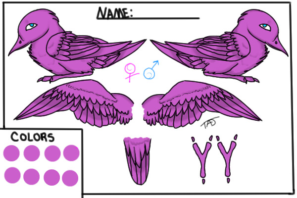 Bird Reference Sheet