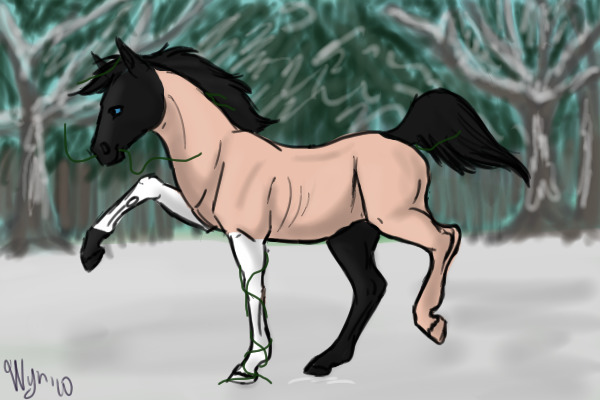 wolfdoglover12's filly