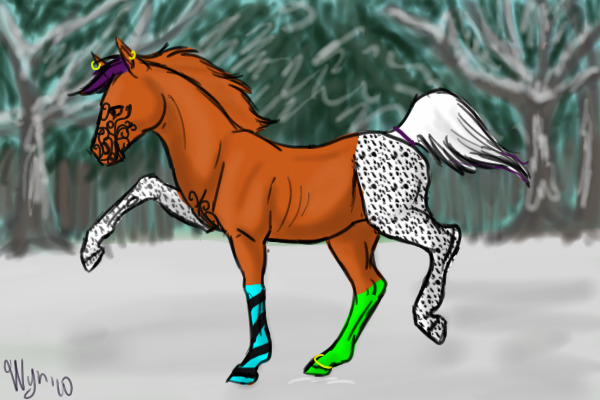 toxxic's filly