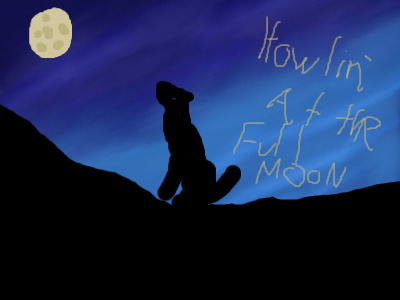 Howlin' at the full moon!