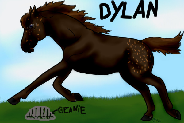 Adoptable horses(Dylan)