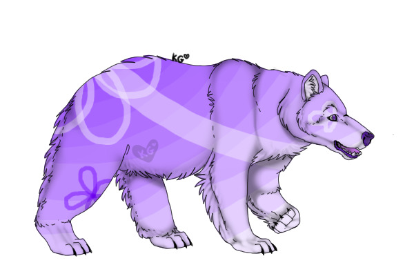 Purple Bear