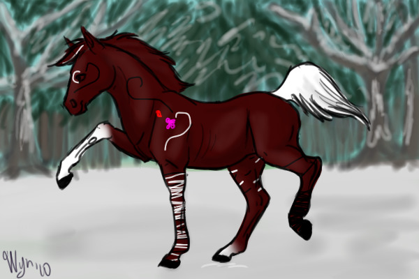 wolfdoglover12's colt
