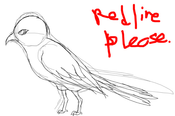 Help me with my Birds (redline please?)