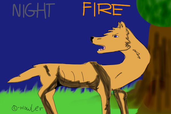 Night Fire || Cover