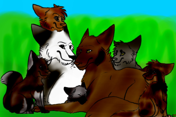 Wolf family.