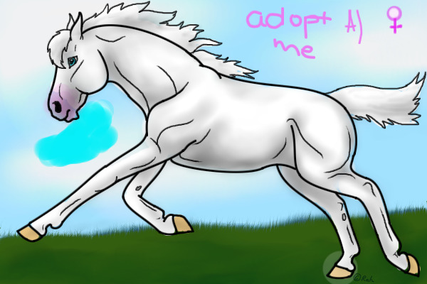 albino mare