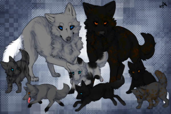 Ice and Shadows pups for Icemoonfern