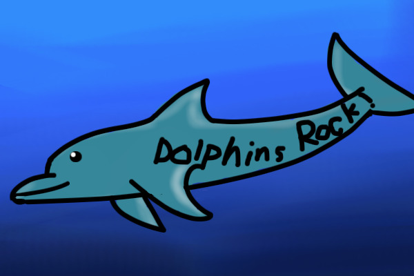 DOLPHINS ROCK