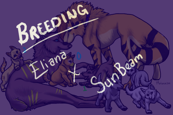 Breeding: Eliana & Sun Beam