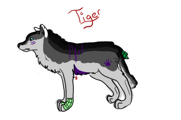 Tiger