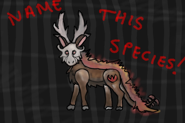 Give this new species a name and win a rare pet!